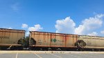 CITX 151677